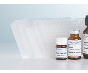 52057 52058 52059 well filter plates vitamin B1 vitamin B6