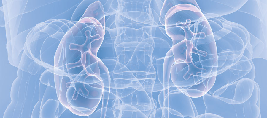 Determination of Cortisol and Cortisone in Urine with LC-MS/MS - Chromsystems