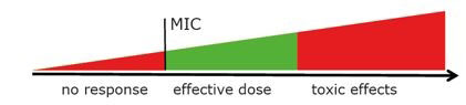 Therapeutic window for antibiotics - Chromsystems