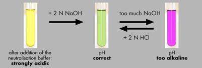 Sample_Preparation_pH-value_6000_4000_EN